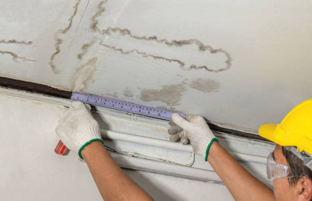 Reliable Structural Drying contractor in Ladonia, TX by Water Damage Irwin